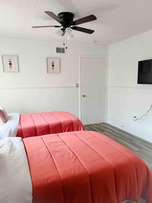 Sparkling Guest Home 2 Bedroom-15 Minutes To Clearwater Beach Exteriör bild